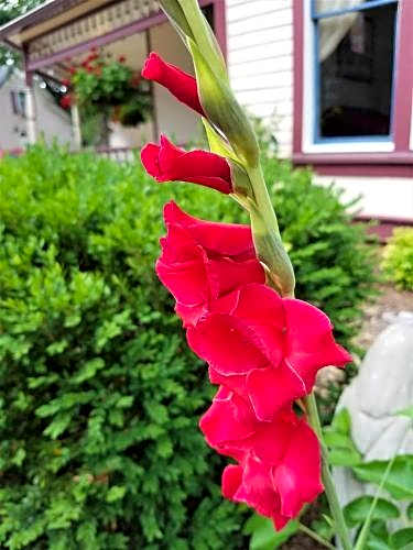 5 Ojo Inn Bed and Breakfast