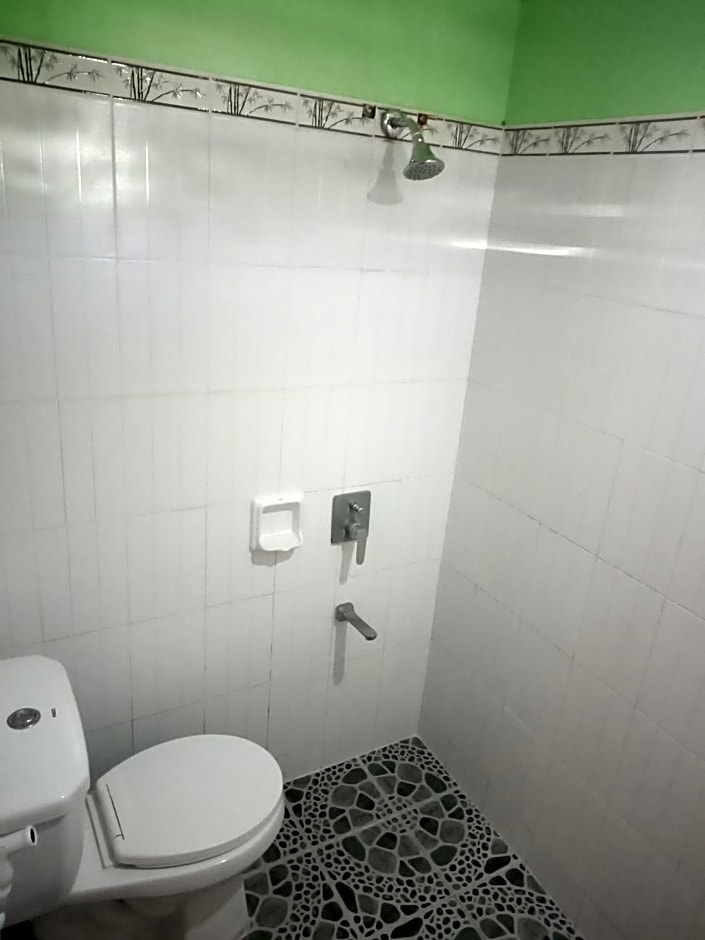 Vievan's transient house