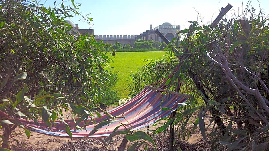 Dar Danse, the Bubble on the Beach