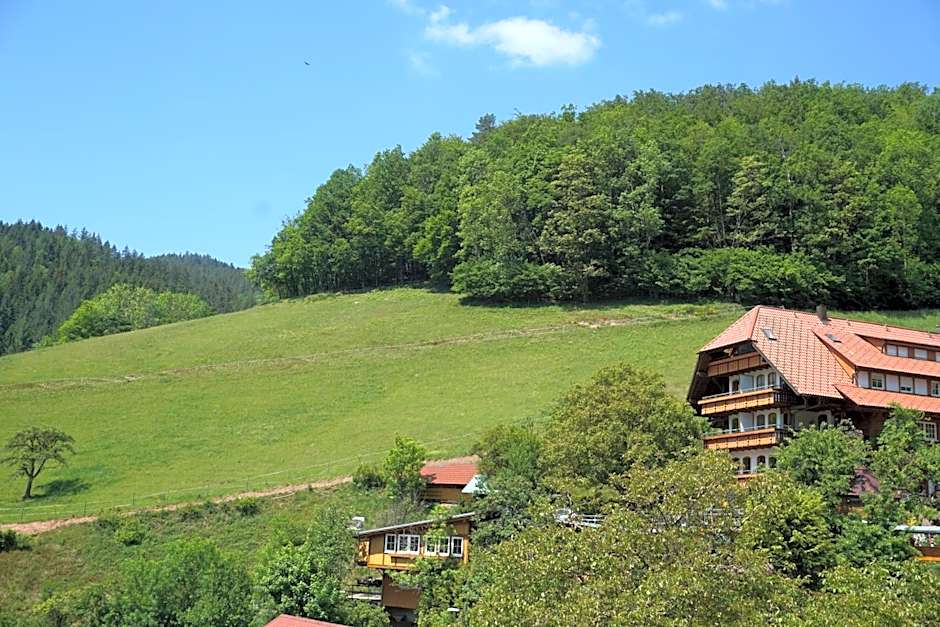 Ehrenmättlehof Faißt