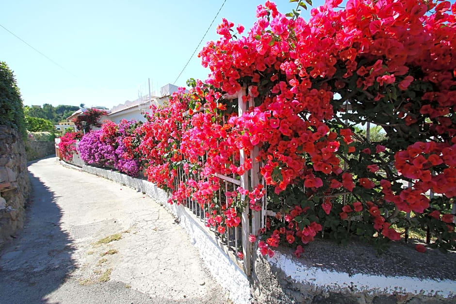 Lacco Terrace Solarium
