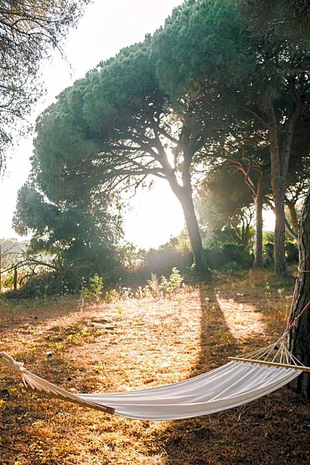 miCielo - Baumhäuser