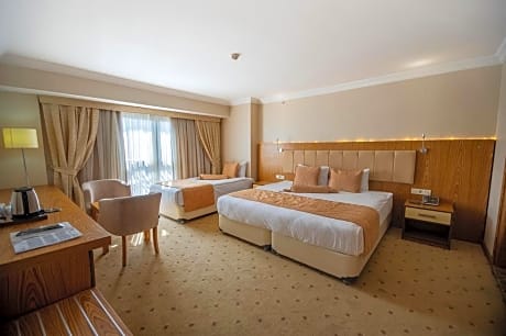 Triple Room with Bath