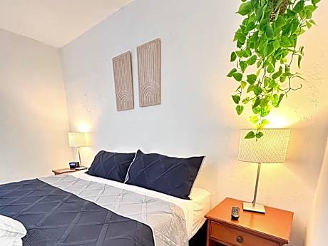 King Studio with Sofa Bed
