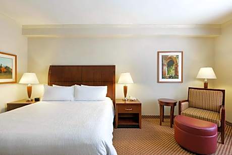 1 King Bed