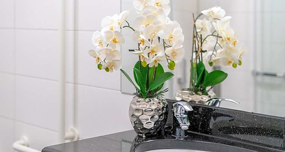 PLAZA INN Braunschweig City Sud