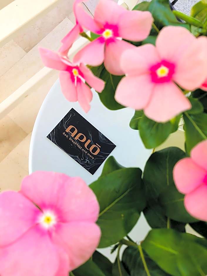 Hotel Aplo - Breakfast Experience