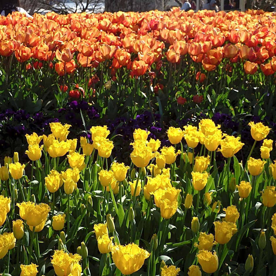 Bowral Road Art Gallery Bed and Breakfast