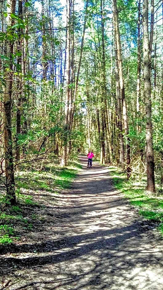 Domki Letniskowe Nad Morzem