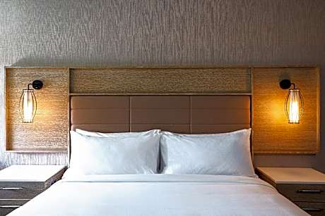 deluxe guest room, 1 king, terrace level, balcony, terrace