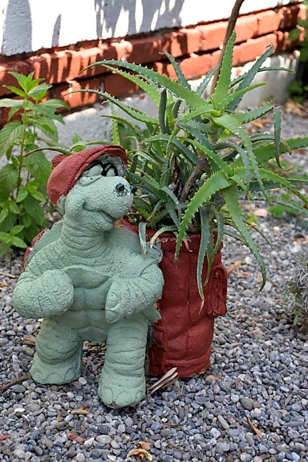 Caretta Caretta Hotel