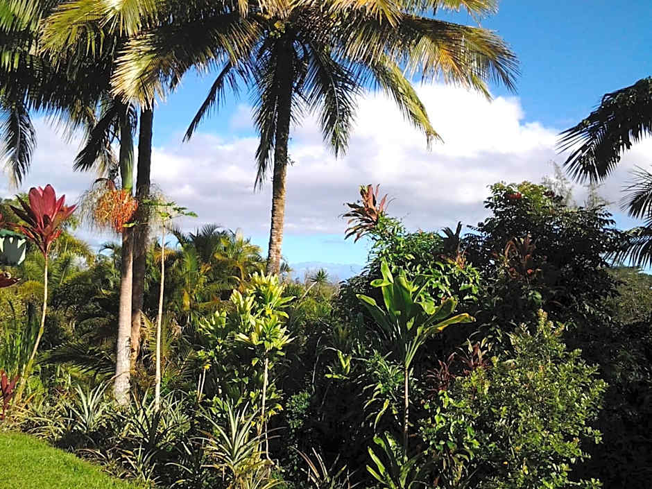 Lava Tree Tropic Inn