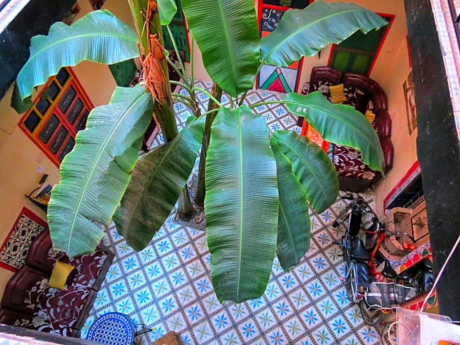 Riad Espagne