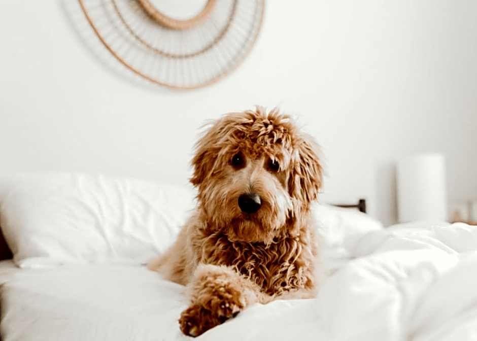 Wingate by Wyndham Eagle Vail Valley