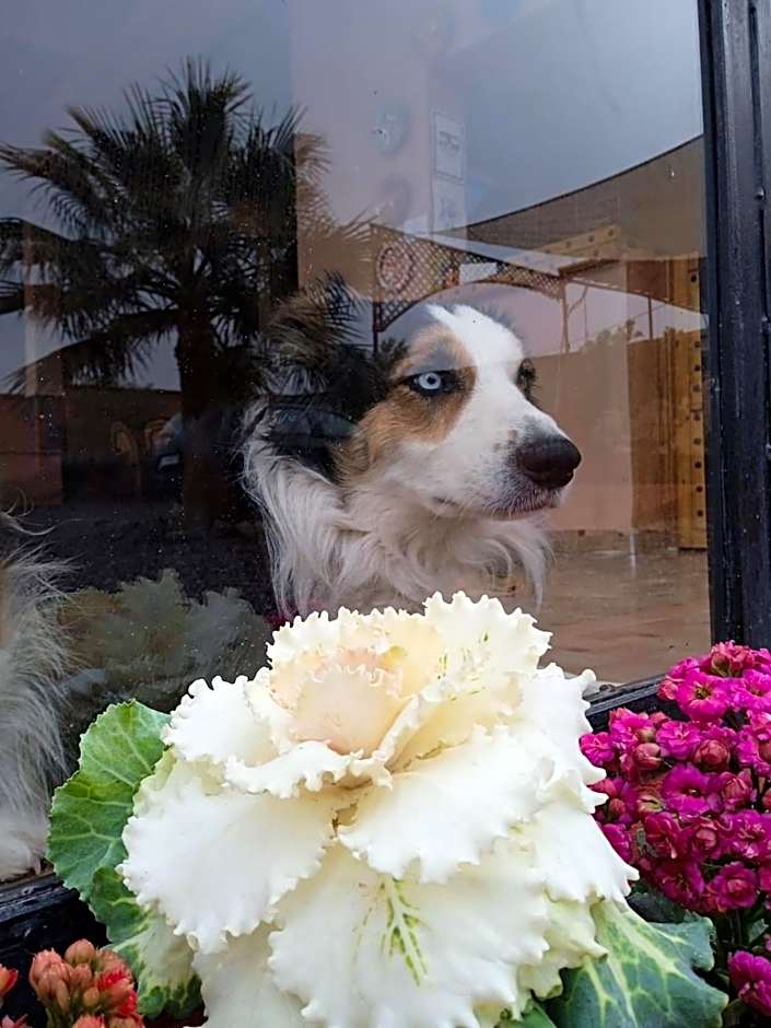 LESCALE DE OUARZAZATE