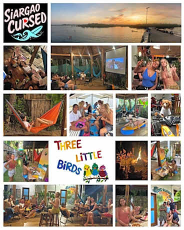 Three Little Birds Surf Hostel