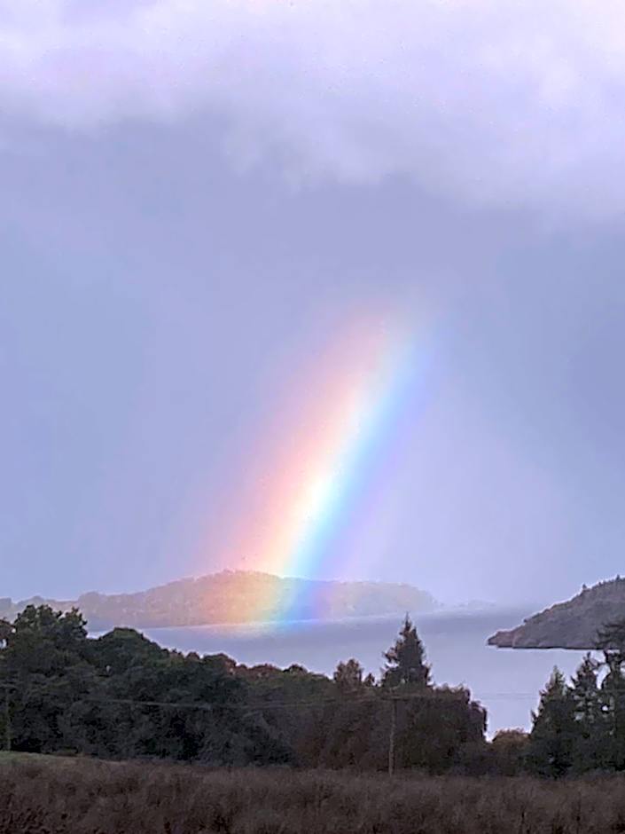 Stoneymollan over Loch Lomond