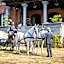 B&B Villa Cernigliaro Dimora Storica