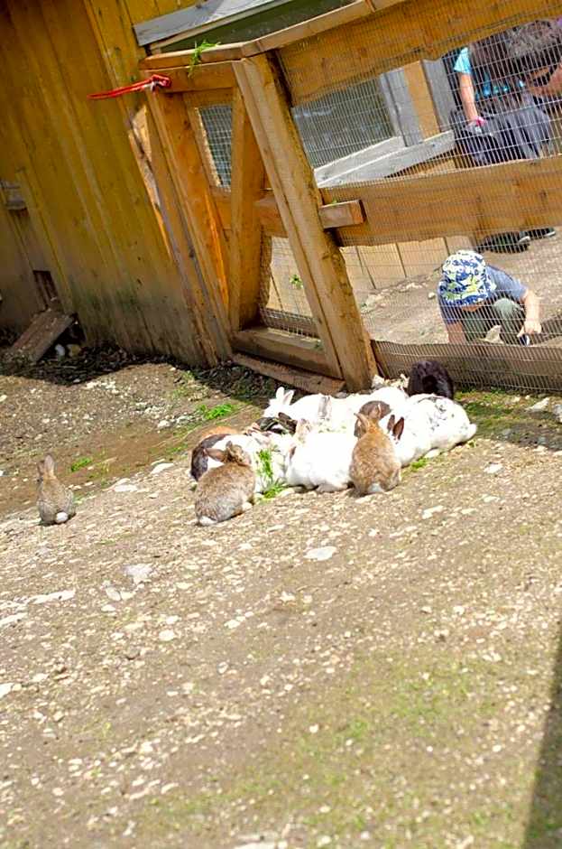 Kinderhotel Appelhof