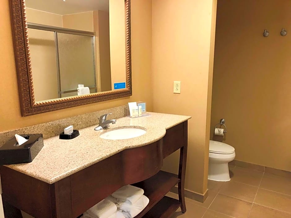 Hampton Inn By Hilton & Suites Norfolk-Airport, Va