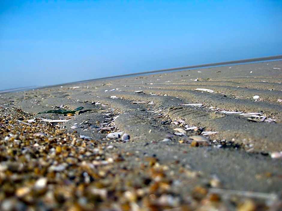 Fletcher Hotel-Restaurant Duinzicht