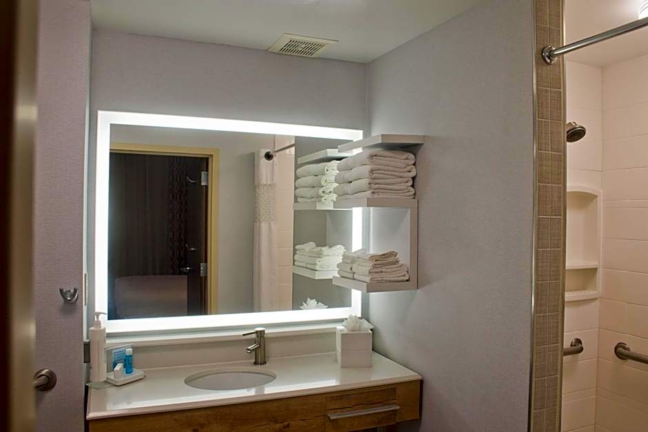 Hampton Inn By Hilton & Suites Denver-Speer Boulevard
