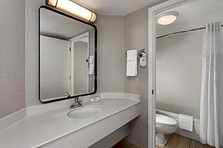 1 King Bed Non-Smoking