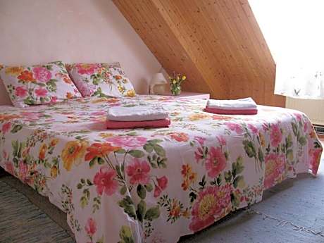 Double or Twin Room with Shared Bathroom