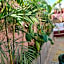 Riad Laith