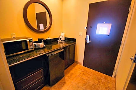 1 King Bed Studio Suite Nonsmoking