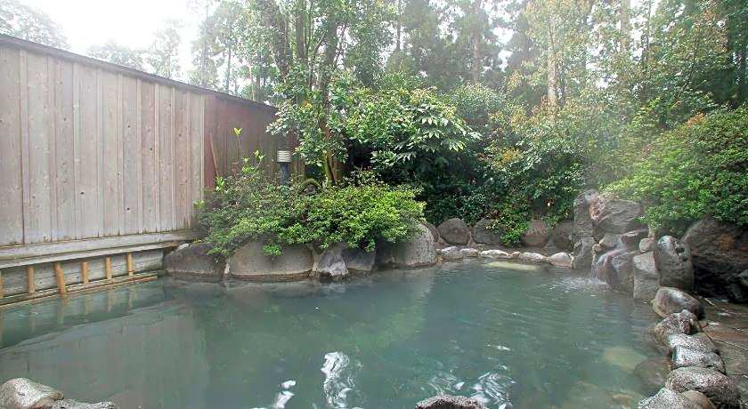 Hotel Kirishima Castle