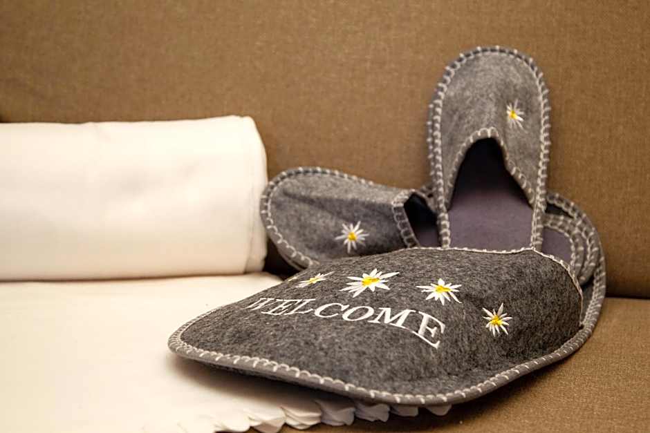 Hotel Chalet Giasenei