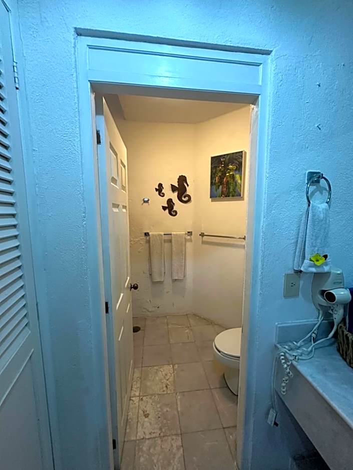 HAB PTa B ÁREA DE VILLAS DENTRO DEL HOTEL Junto al Krystal EN IXTAPA WIFI 2A 1M Con playa