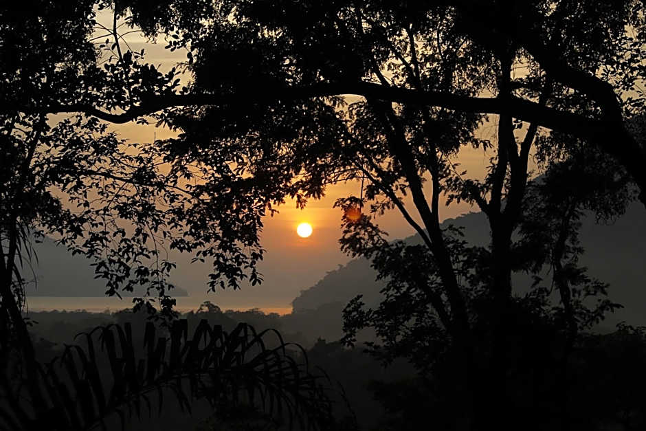 ReMo Treehouse Hostel