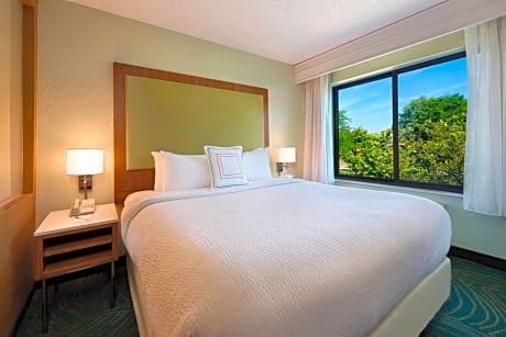 Suite, 1 King Bed with Sofa bed (1 King Bed and 1 Double Sofa Bed)