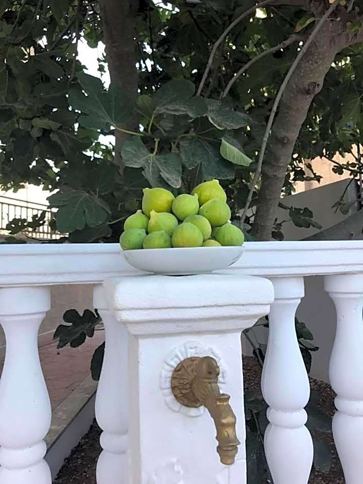 Villa Cristina B&b Alezio