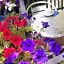 B&B Notti E Dintorni