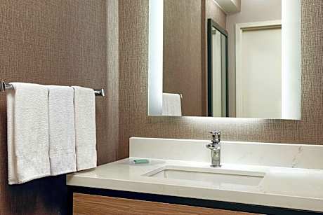 Suite, 1 King Bed with Sofa bed (Hearing Accessible) (1 King Bed and 1 Double Sofa Bed)