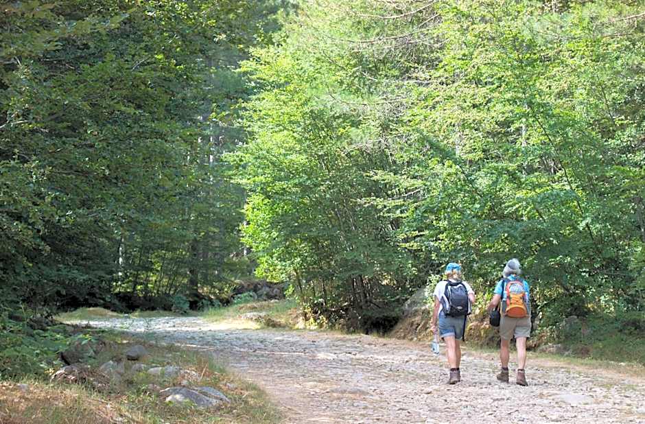 Hôtel Restaurant U Castellu Vizzavona