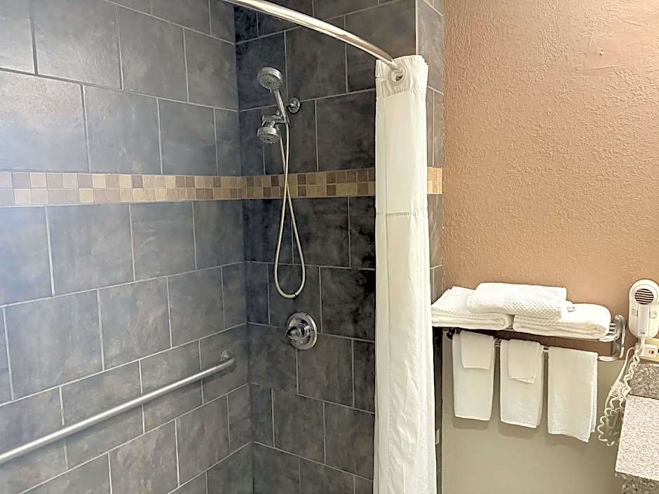 AmericInn by Wyndham Holland MI