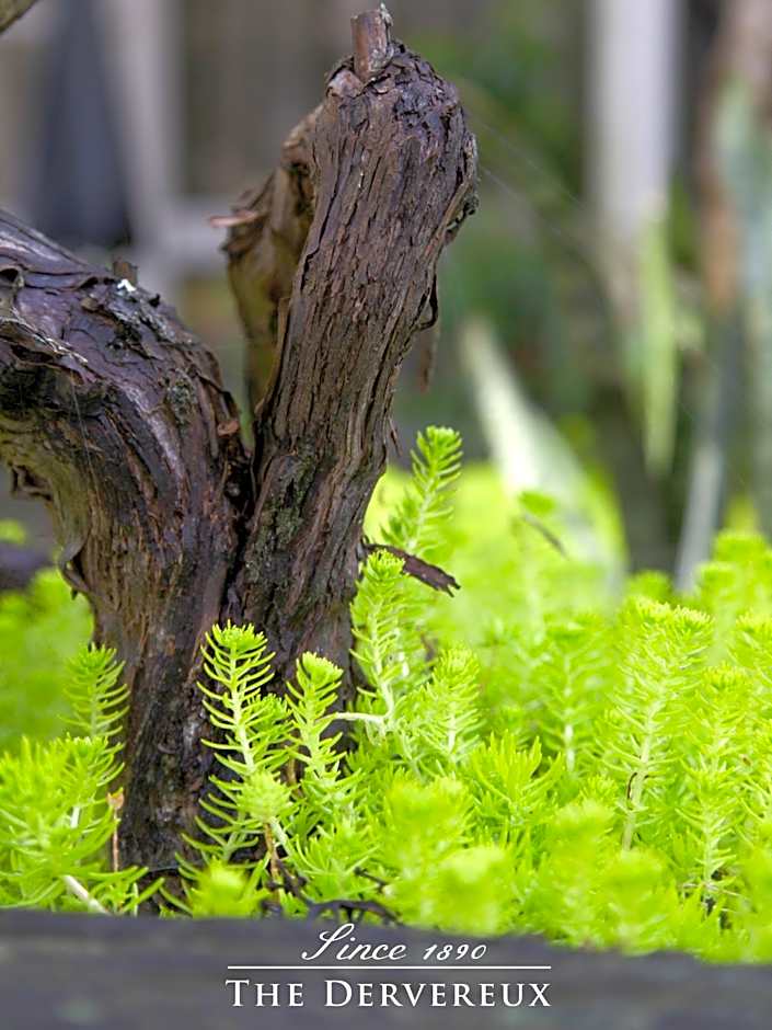 The Devereux Boutique Hotel