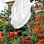 Villa Ambrosina