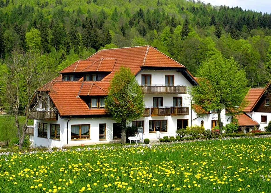 Rhon-Hotel Sonnenhof - Restaurant & Cafe