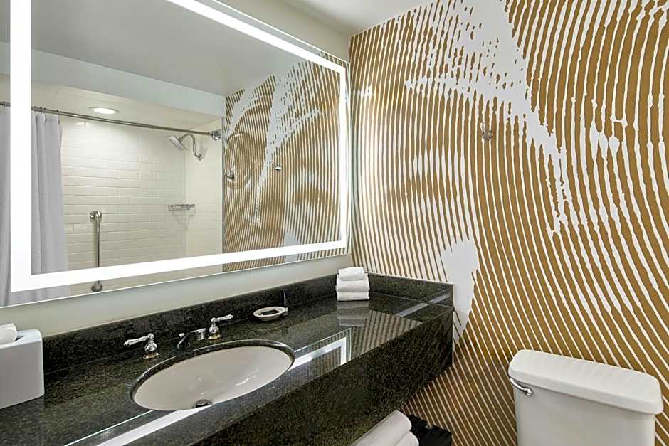 Renaissance Asheville Downtown Hotel