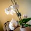VillAmour Boutique Hotel & SPA