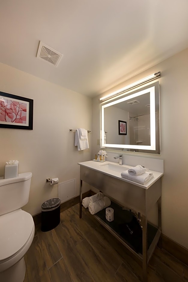 Holiday Inn Brookfield - Milwaukee By IHG