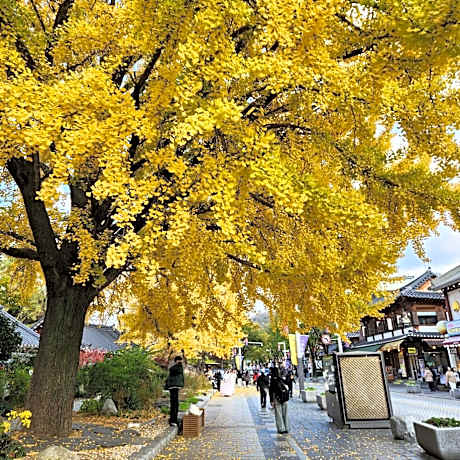 Double Room with Garden View