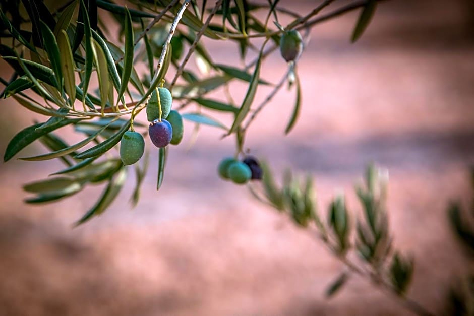 Finca Tres Molinos B&B