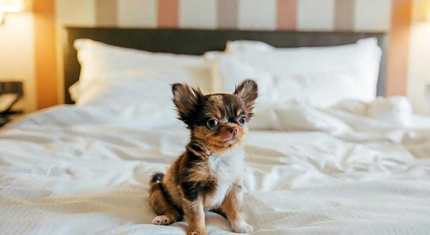 DoubleTree By Hilton Sukhumvit Bangkok