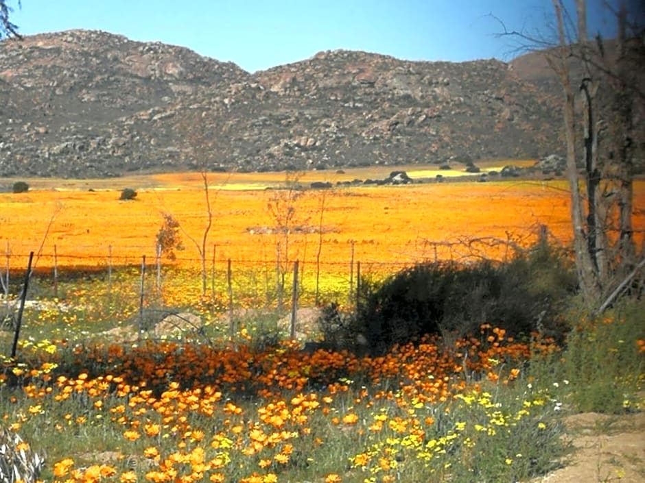 Thys'e Kombuis & Guest Farm